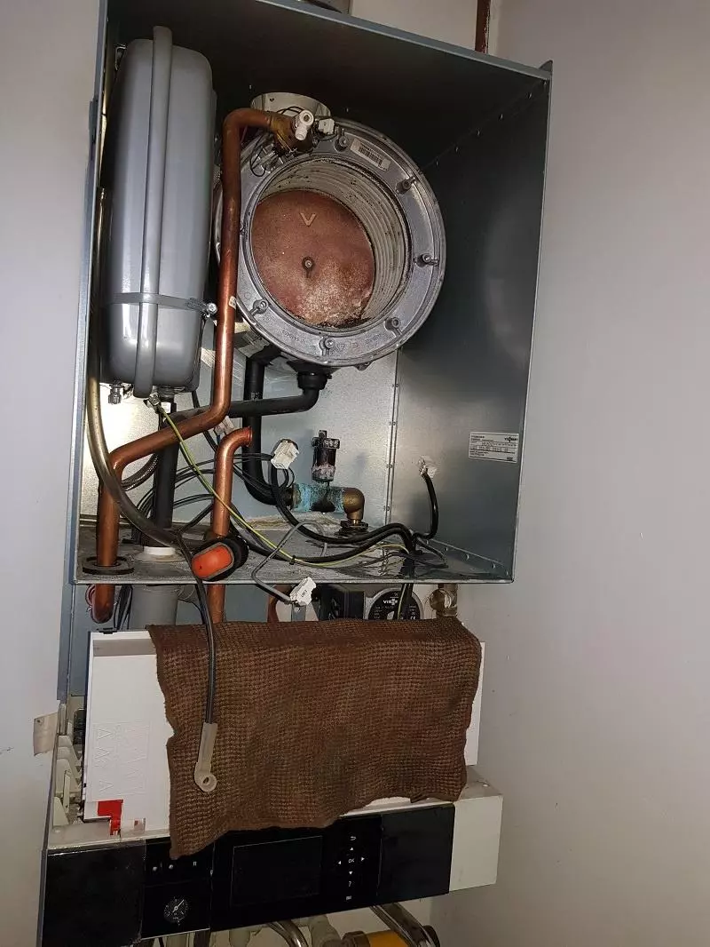 vitodens 200 wb2c serwis kotla