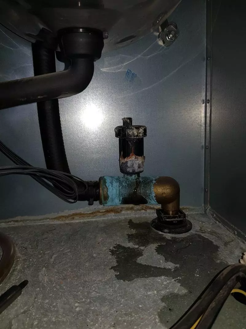 vitodens 200 wb2c wyciek wody