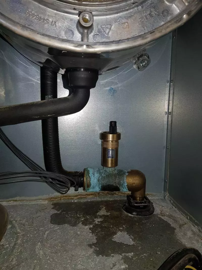 vitodens 200 wb2c wymiana odpowietrznika